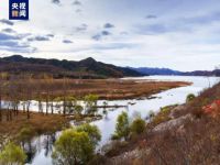 蓟州将新增两个国家级湿地公园